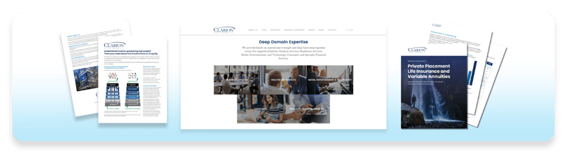 Product page examples from Clarion website 