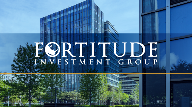 Fortitude eBook Tax Advantaged Investing 